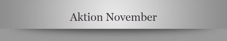 Aktion November