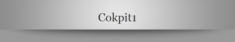 Cokpit1